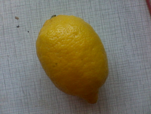 Большой лимон